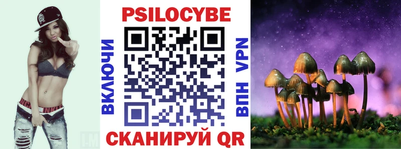 Галлюциногенные грибы мухоморы  где купить наркоту  мега ONION  Магас 